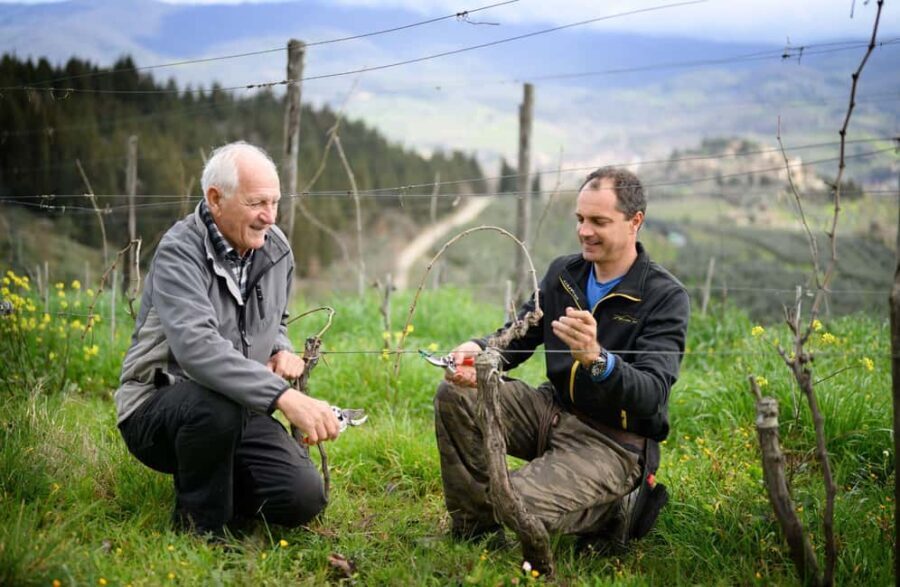 Chianti Winery Tour with Wine & Food Tasting near Florence - The Itinerary in Detail