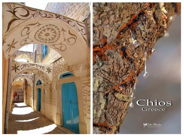 Chios: Masticha Villages Half Day Tour - A Deep Dive into the Chios Masticha Villages Half Day Tour