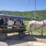 Chisinau: Cricova Wine tour &Old Orhei Archeological Complex - Transport and Group Size