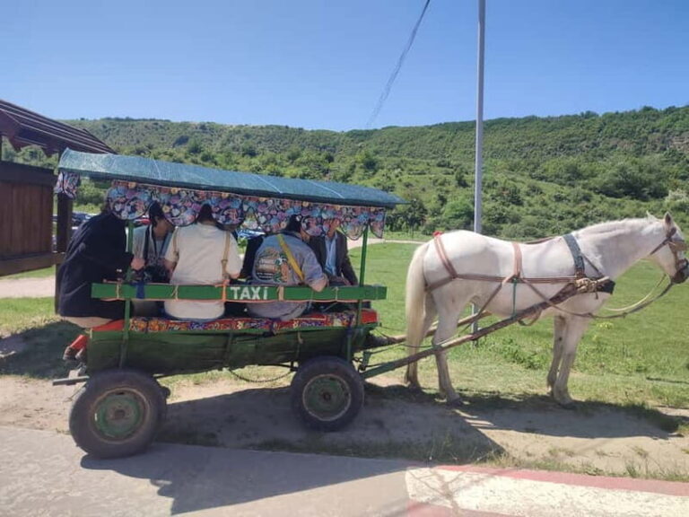 Chisinau: Cricova Wine tour &Old Orhei Archeological Complex - Transport and Group Size