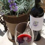 Chocolate and Wine Tasting Small Group Tour from Hvar - Who Is This Tour Best For?