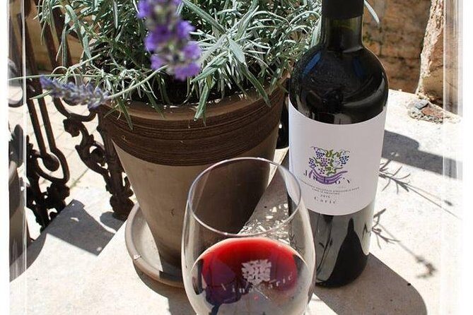 Chocolate and Wine Tasting Small Group Tour from Hvar - Who Is This Tour Best For?