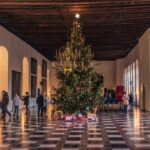 Christmas Joy in Helsingør - Private Walking Tour - What’s Included & What to Budget For