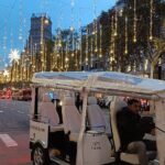 Christmas Lights Tour of Barcelona in Private Eco Tuk Tuk - Key Points