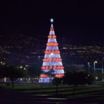 Christmas Lights Tukxi Tour (price per tukxi - up to 5 people) - Who Is This Tour Best Suited For?