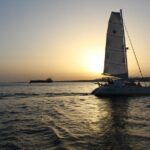 Christmas River Cruise with Typical Cake and Liquor - The Sum Up