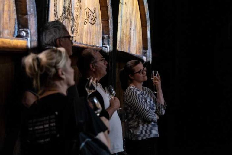 Christmas Wine Tour with Wine Tasting - Who Will Love This Tour?