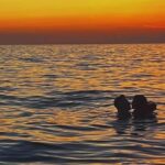 Cilento: sunset boat tour with aperitif from Agropoli - Who Will Love This Tour?