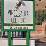 CINISI: OLIVE OIL TOUR- THE OLIVE OIL TASTING AND APERITIF TOUR - The Value of This Experience