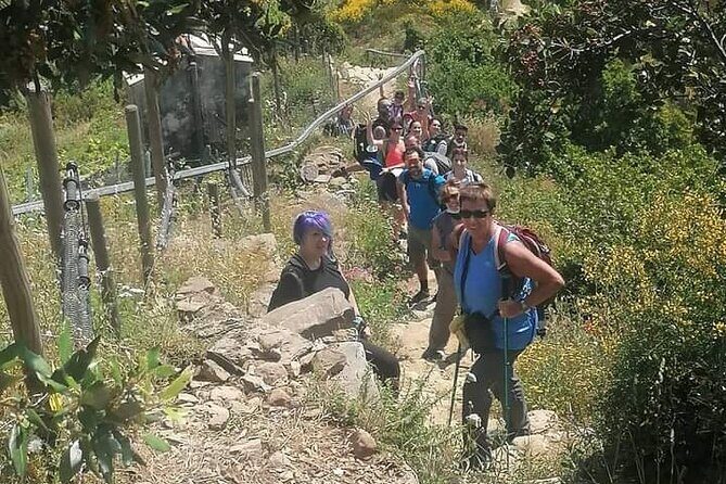 Cinque Terre by train and boat - What Makes This Tour Stand Out?