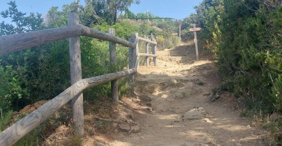 Cinque Terre from Riomaggiore to Manarola and vineyards - Why Choose This Tour?