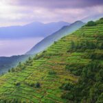 Cinque Terre Private Tour by minivan and ferry-boat from Lucca - Authentic experiences and insider tips