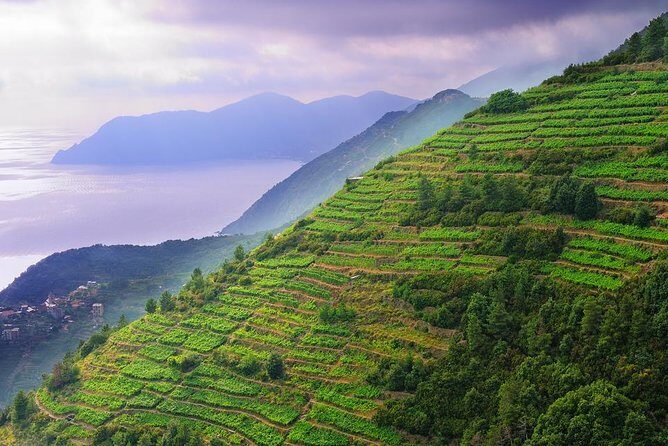 Cinque Terre Private Tour by minivan and ferry-boat from Lucca - Authentic experiences and insider tips