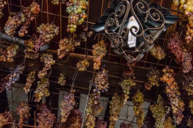 Cinque Terre Private Wine And Views Tour - FAQ