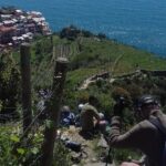 Cinque Terre unforgettable hiking experience - Authentic Experiences That Shine
