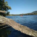 Circeo National Park:Guided kayak tour on the Lake Sabaudia - An In-Depth Look at the Kayak Tour Experience