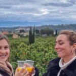 Citrus Treasures: Exploring Valencia's Orange Grove - The Details of the Experience
