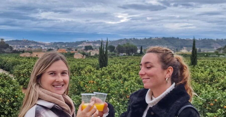Citrus Treasures: Exploring Valencia's Orange Grove - The Details of the Experience