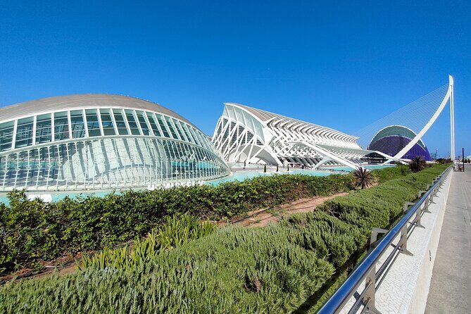 City of Arts and Sciences Bike Tour - What We’re Hearing from Reviewers