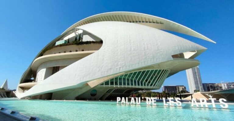 City of Arts and Sciences Private Bike tour - Practical Aspects and What to Expect