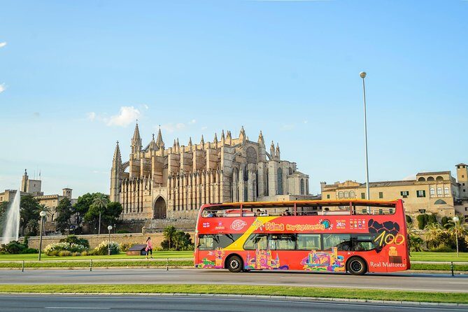 City Sightseeing Palma de Mallorca Hop-On Hop-Off Bus Tour - The Reviews: Authentic Perspectives