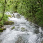 City Trip Struga and Vevchani from Ohrid and Struga - What Sets This Tour Apart?