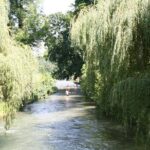 City Walk + English Garden and Colorful History + Culture in the City Center - Practical Details and Insights