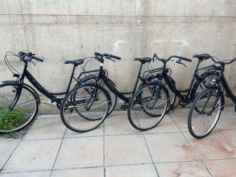 CITYBIKE/ easy Classic FOR 24 hours with Free delivery! - How the Delivery and Rental Process Works