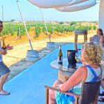 Ciutadella de Menorca: Family Winery Tour with Wine Tasting - The Experience’s Intimate Touch
