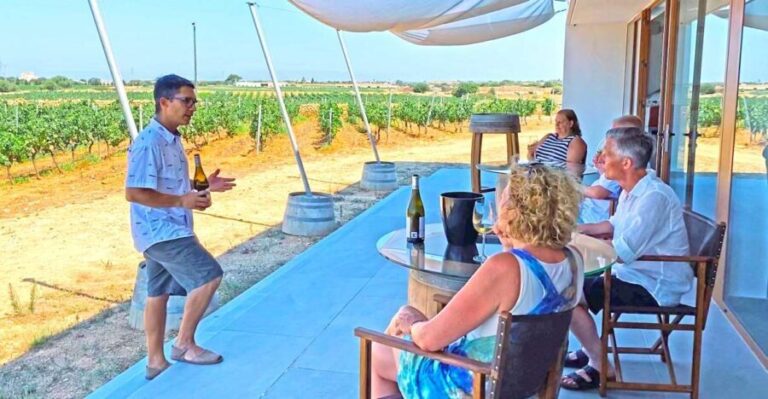 Ciutadella de Menorca: Family Winery Tour with Wine Tasting - The Experience’s Intimate Touch