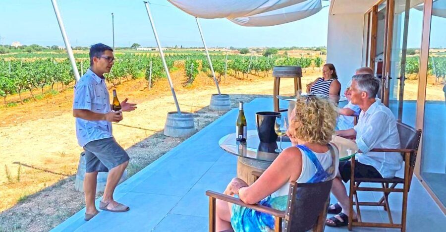 Ciutadella de Menorca: Family Winery Tour with Wine Tasting - The Experience’s Intimate Touch