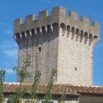 Civitavecchia: Tuscany Full-Day Guided Trip w/Wine Tasting - Final Thoughts: Who Is This Tour Best For?