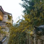 Classic Tbilisi Walking Tour - Frequently Asked Questions