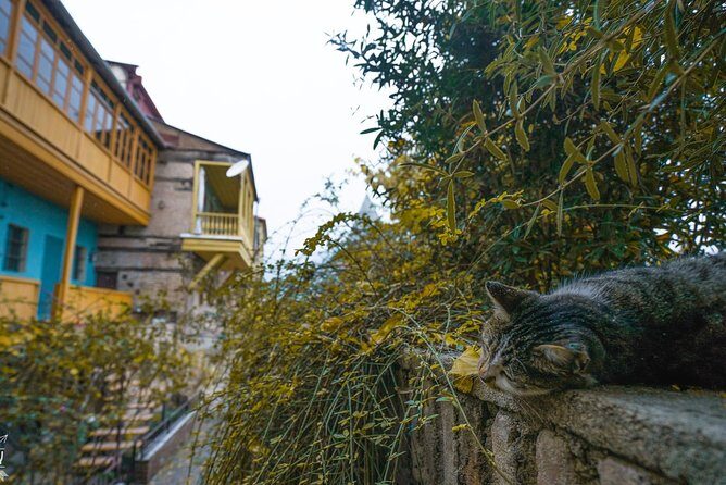 Classic Tbilisi Walking Tour - Frequently Asked Questions