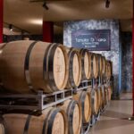 Classic Tour & Monovarietal Wines Tasting - What Makes It Special?
