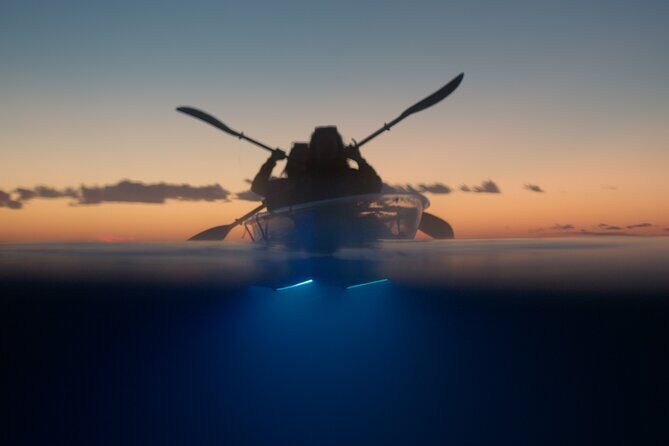 Clear Kayak Glow Night Tour - Who Will Love This Experience?