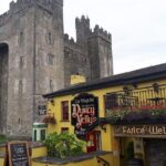 Cliffs of Moher & Bunratty Castle - Private Mini Bus Tour - Who Is This Tour Perfect For?