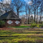 Clingendael: Japanse tuin - Who Will Love This Experience?