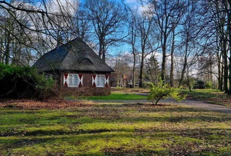 Clingendael: Japanse tuin - Who Will Love This Experience?