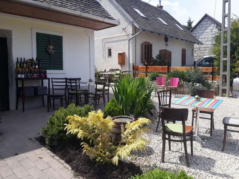 Close to Budapest:Wine Tasting in a Small Cozy Family Winery - An In-Depth Look at the Experience