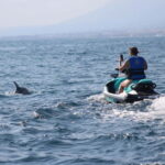 Closed circuit on Jetski - Why This Jetski Tour Offers Good Value