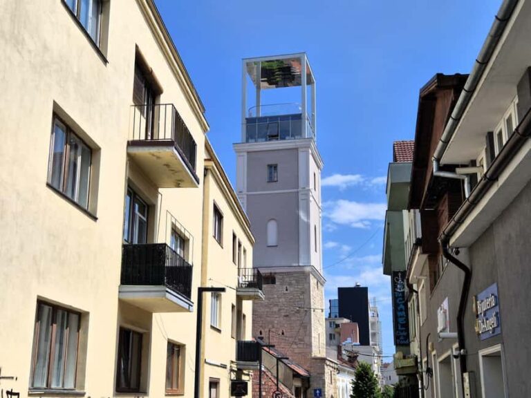 Cluj Insight: Walking tour with a travel writer & historian - What to Expect During the Tour