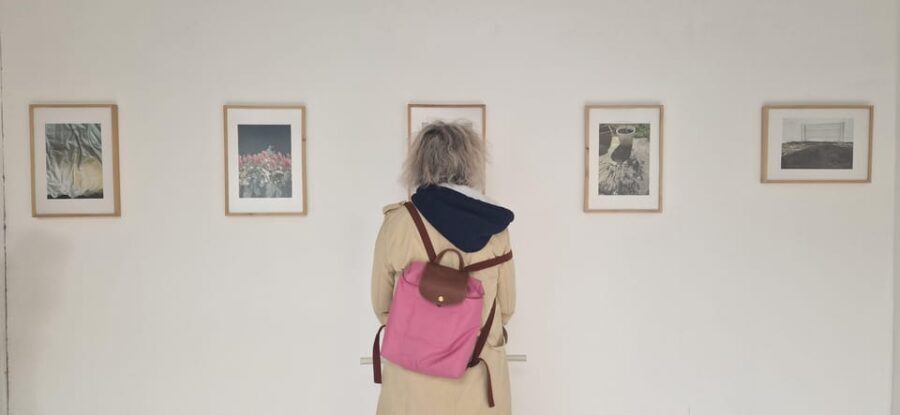 Cluj-Napoca: Explore the local art scene - Who Would Love This Tour?