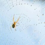 Cluj: Private Nature and Wildlife Photography Class - The Sum Up