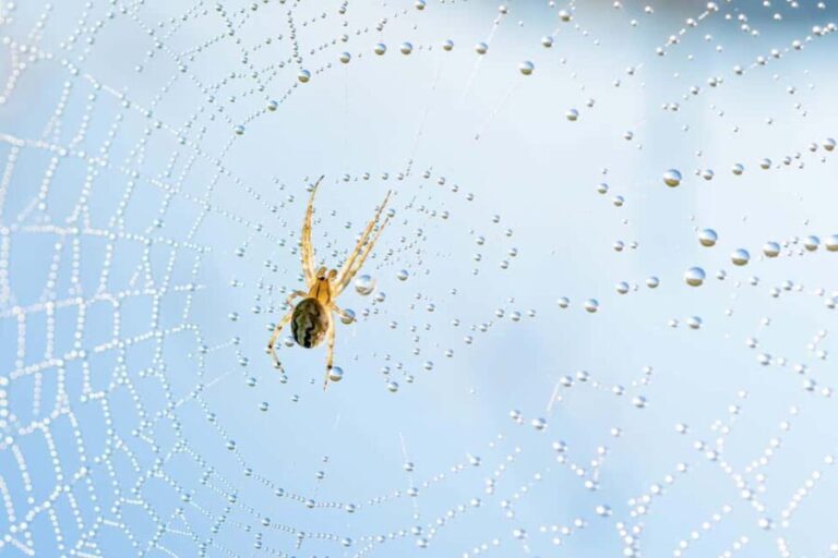 Cluj: Private Nature and Wildlife Photography Class - The Sum Up