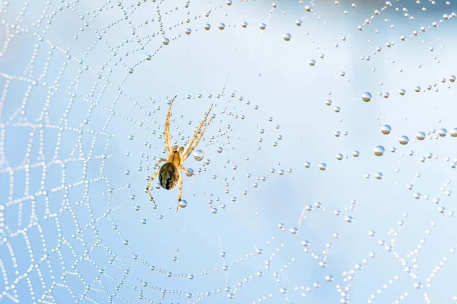 Cluj: Private Nature and Wildlife Photography Class - The Sum Up