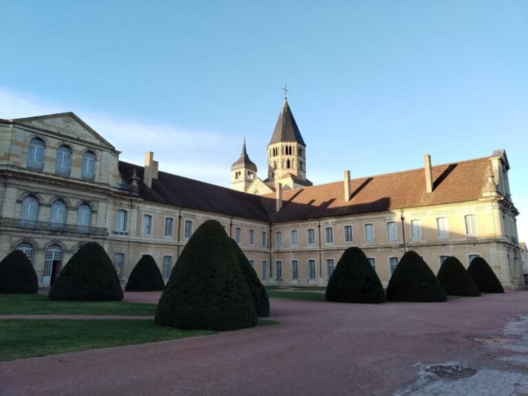 Cluny: Abbey Private Guided Tour with "ticket included" - Starting Point and Overall Structure