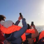 Coastal boat tour in Ribeira Grande and Porto Formoso - An In-Depth Look at the Coastal Boat Tour