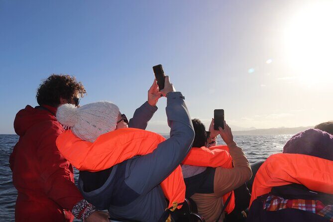 Coastal boat tour in Ribeira Grande and Porto Formoso - An In-Depth Look at the Coastal Boat Tour