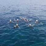 Coasteering Mallorca - The Itinerary: What to Expect